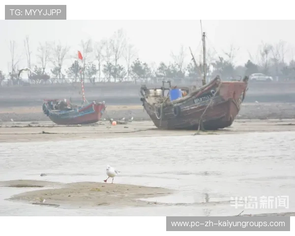 惠州赶海热情高涨，安全措施不可忽视，惠州市赶海好去处
